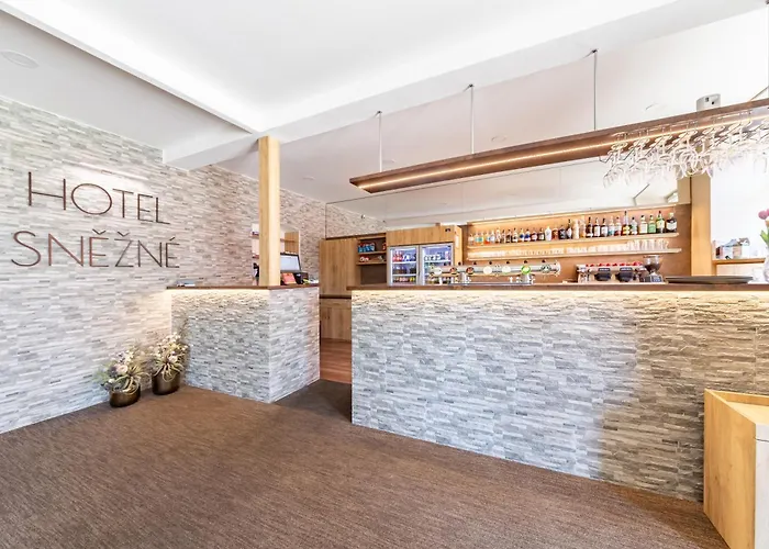 Hotel Snezne